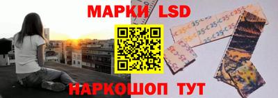 PSILOCYBIN Гусев