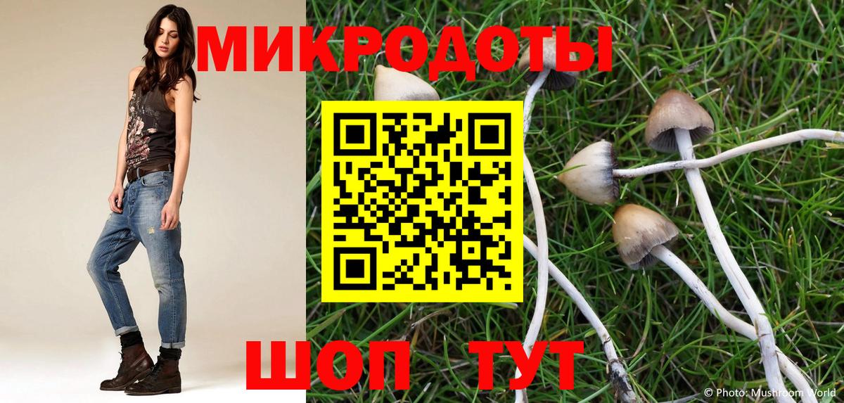 Кимры  даркнет сайт  Вход с VPN  Псилоцибиновые грибы Psilocybine cubensis 