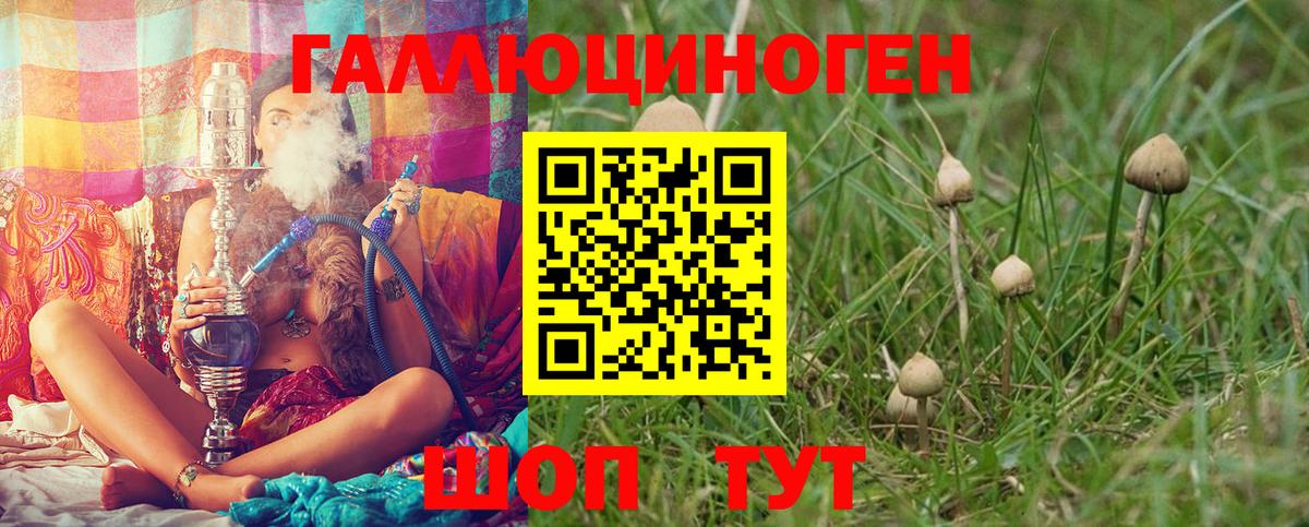 Псилоцибиновые грибы ЛСД Кимры